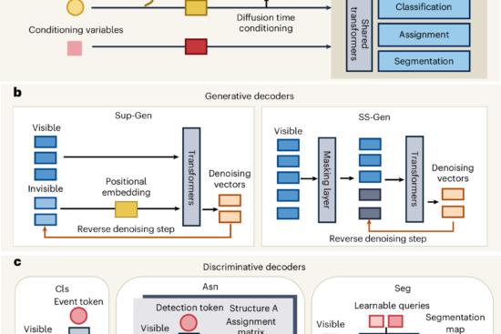Foundation Model Boosts Particle Physics Analysis