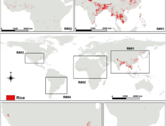 RiceExtent v1.0: New Global Map Released