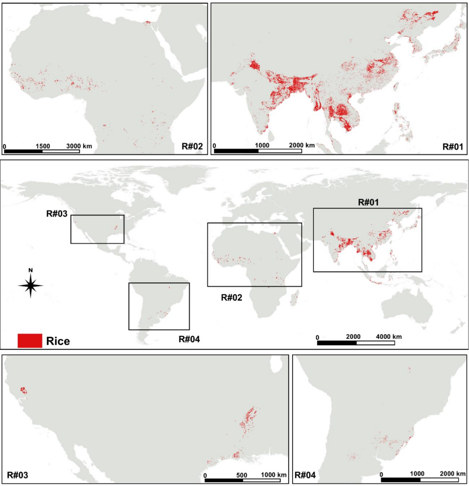 RiceExtent v1.0: New Global Map Released
